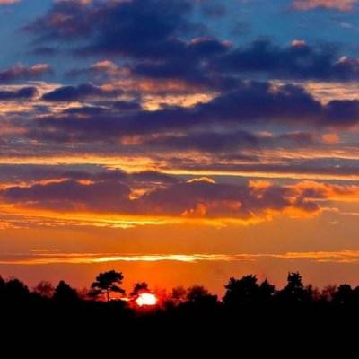 bob官方体育综合下载